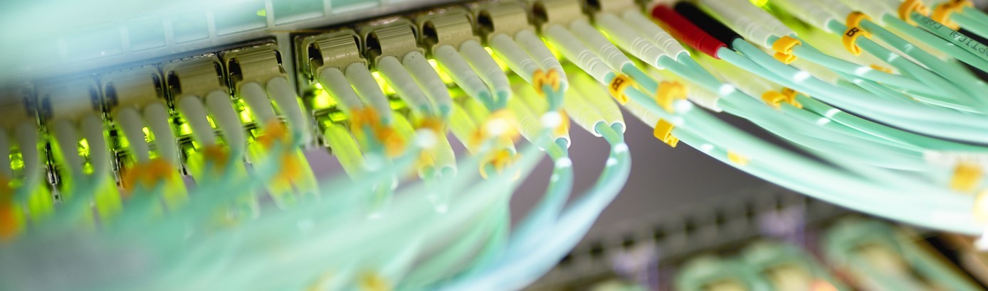 Fibre optic patch leads connected to a network switch